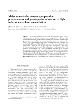 Maize somatic chromosome preparation: pretreatments and