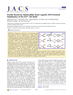 Iron(III) Bound by Hydrosulfide Anion Ligands: NO