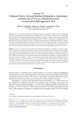 Tallgrass prairie, ground beetles (Coleoptera: Carabidae) and the