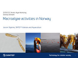 Macroalgae activities in Norway