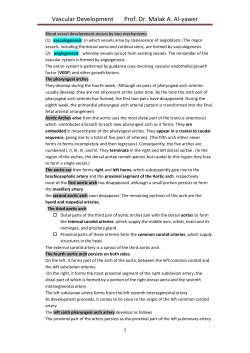 Vascular Development Prof. Dr. Malak A. Al