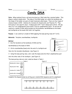 Candy DNA