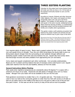 three sisters planting