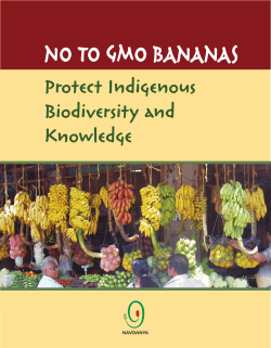 No to GMo baNaNas