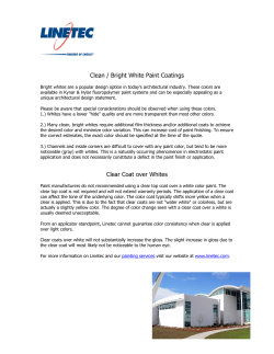 Clean / Bright White Paint Coatings
