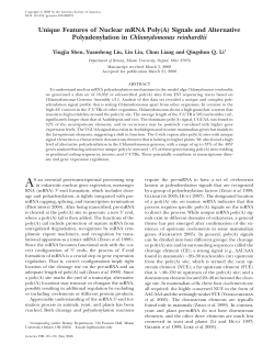 Unique Features of Nuclear mRNA Poly(A) Signals and