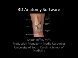 3D Anatomy