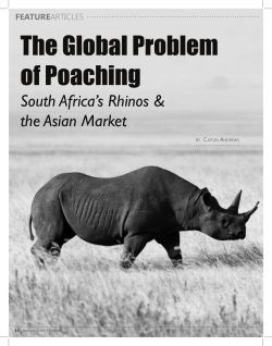 The Global Problem of Poaching