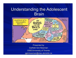 Understanding the Adolescent Brain - Presentation by Garfield Gini