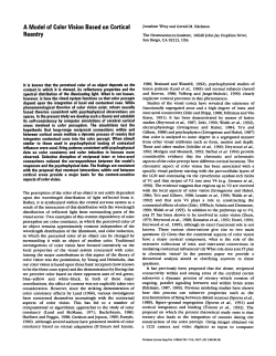 A Model of Color Vision Based on Cortical Reentry