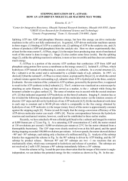 STEPPING ROTATION OF F1-ATPASE: HOW AN ATP