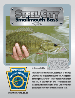 Steel City Smallmouth Bass