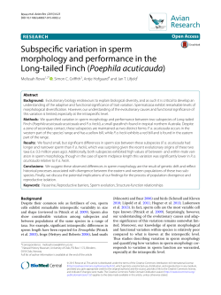 Subspecific variation in sperm morphology and performance in the