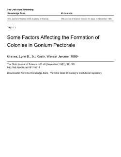 Some Factors Affecting the Formation of Colonies in Gonium Pectorale