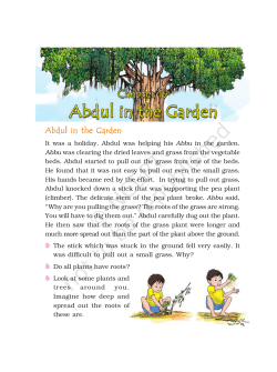 Abdul in the Garden
