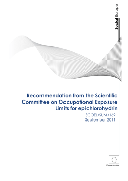 SUM 169 new template WEB ready