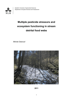 Multiple pesticide stressors and ecosystem functioning in stream