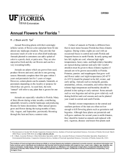 Annual Flowers for Florida - Collier County Extension Office