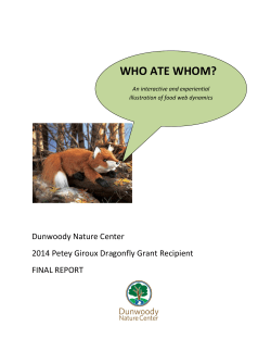 Grant Final Report
