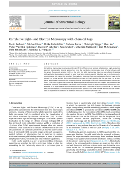 Correlative Light- and Electron Microscopy with chemical tags