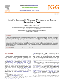 TALENs: Customizable Molecular DNA Scissors for Genome