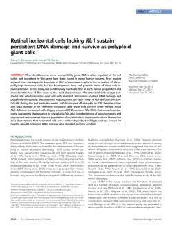 Retinal horizontal cells lacking Rb1 sustain