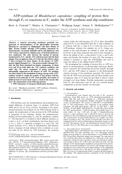 ATP-synthase of Rhodobacter capsulatus: coupling of proton &pound;ow