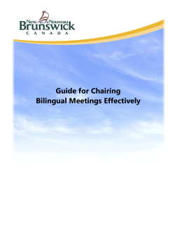 Guide for Chairing Bilingual Meetings Effectively