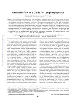 Interstitial Flow as a Guide for Lymphangiogenesis