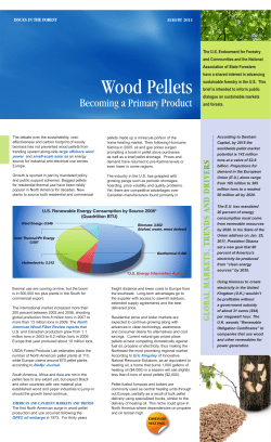 Issues in the Forest--Wood Pellets: Becoming a Primary Product