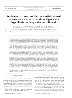 Settlement of crown-of-thorns starfish