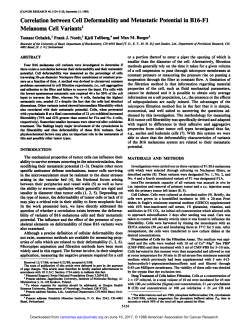 Correlation between Cell Deformability and