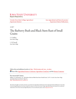 The Barberry Bush and Black Stem Rust of Small Grains