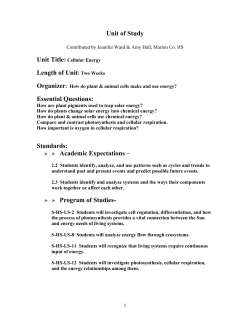 Lesson Plan - Clay Hill Memorial Forest