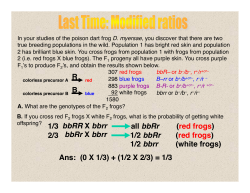 bbRR