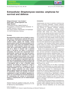 Extracellular Streptomyces vesicles: amphorae for survival and