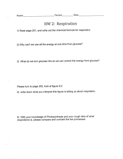 HW 2: ResPiration