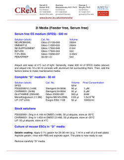 2i Media (Feeder free, Serum free)