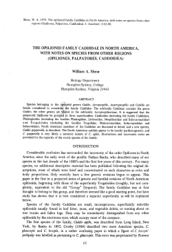 Article - American Arachnology