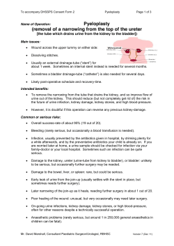 Pyeloplasty - Belfast Trust