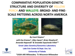 for Lake Erie Yellow Perch