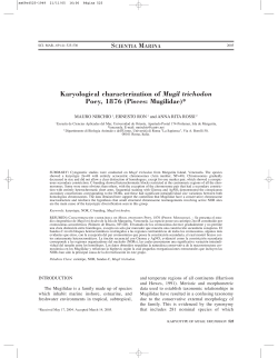 Karyological characterization of Mugil trichodon Poey, 1876