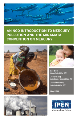 AN NGO INTRODUCTION TO MERCURY POLLUTION AND THE