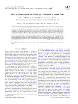 Effect of Temperature on the Growth and Development of Tomato