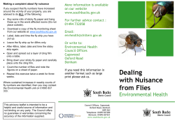 Dealing with Nuisance from Flies  (Opens in a new window)