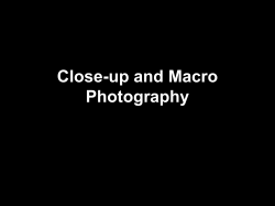 Macro Photography