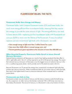 FLUORESCENT BULBS: THE FACTS