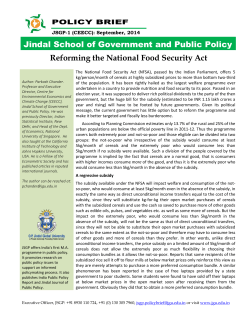 Policy Brief 1