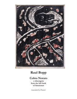 SNAKE NORATO &mdash; Raul Bopp (1898-1984)