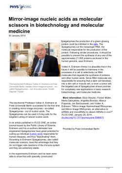 Mirror-image nucleic acids as molecular scissors in